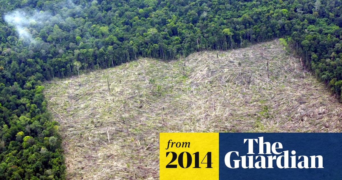 Rate of deforestation in Indonesia overtakes Brazil, says study