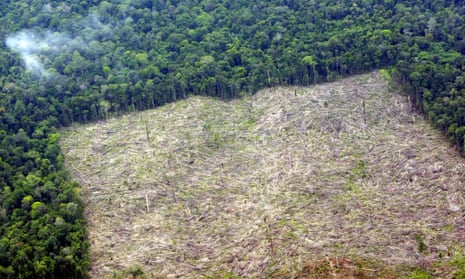 An aerial picture shows deforestated land in Indragiri Hulu, Riau province, Indonesia