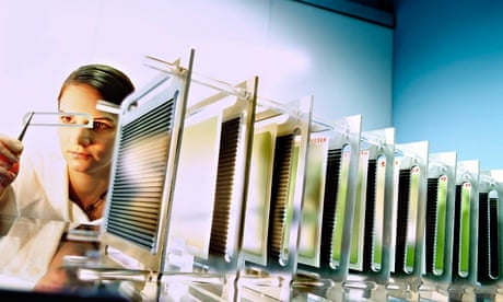File photo of a scientist inspecting fuel cell prototypes.