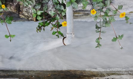 Flowers blossom near the sewage pipe at a workshop of a ceramic factory