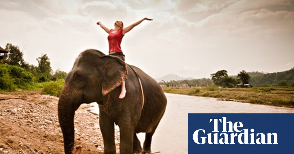 How Riding Elephants Can Help Energy Efficiency In The Office Guardian Sustainable Business The Guardian How Riding Elephants Can Help Energy Efficiency In The Office Guardian Sustainable Business The Guardian