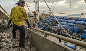 Walmart Tesco And Costco Among Retailers Responding To Revelations Of Slavery In Prawn Supply Chains Global Development The Guardian