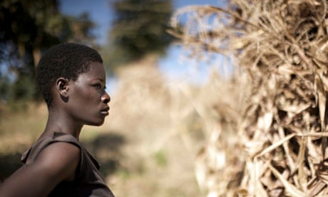 Women farmining Malawi