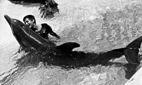 The Dolphin Who Loved Me The Nasa Funded Project That Went Wrong Dolphins The Guardian The Dolphin Who Loved Me The Nasa Funded Project That Went Wrong Dolphins The Guardian