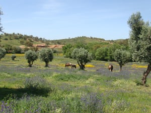 Herdade da Nespereira, Alentejo.