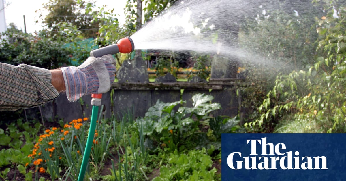 Six Ways To Save Water In Your Garden Life And Style The Guardian