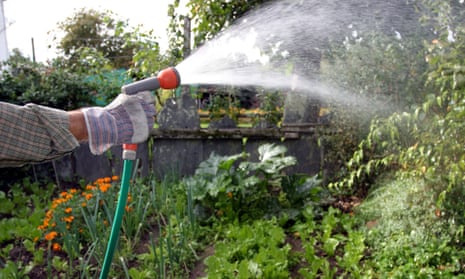How to Save Water When Watering Lawn: Easy Tips That Work