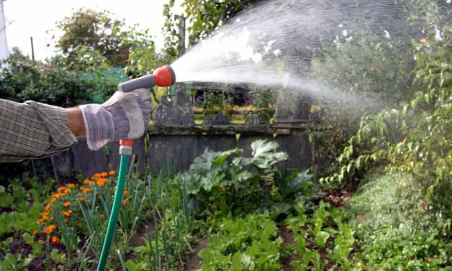 Live Better: save water in garden