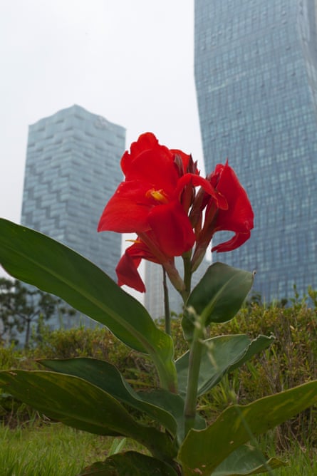 The 10-year development of Songdo is reckoned to have cost upwards of £100 million.

the park has a rain-saving facility to save on water consumption, and also its parking lots are located underground in an attempt to minimize carbon emissions.