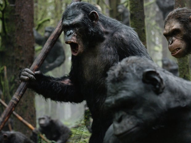 Dawn of the Planet of the Apes: how scientifically plausible is it? | Primatology | The Guardian