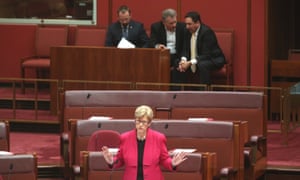 The Leader of the Greens Christine Milne speaks in the senate this morning, Thursday 17th July 2014