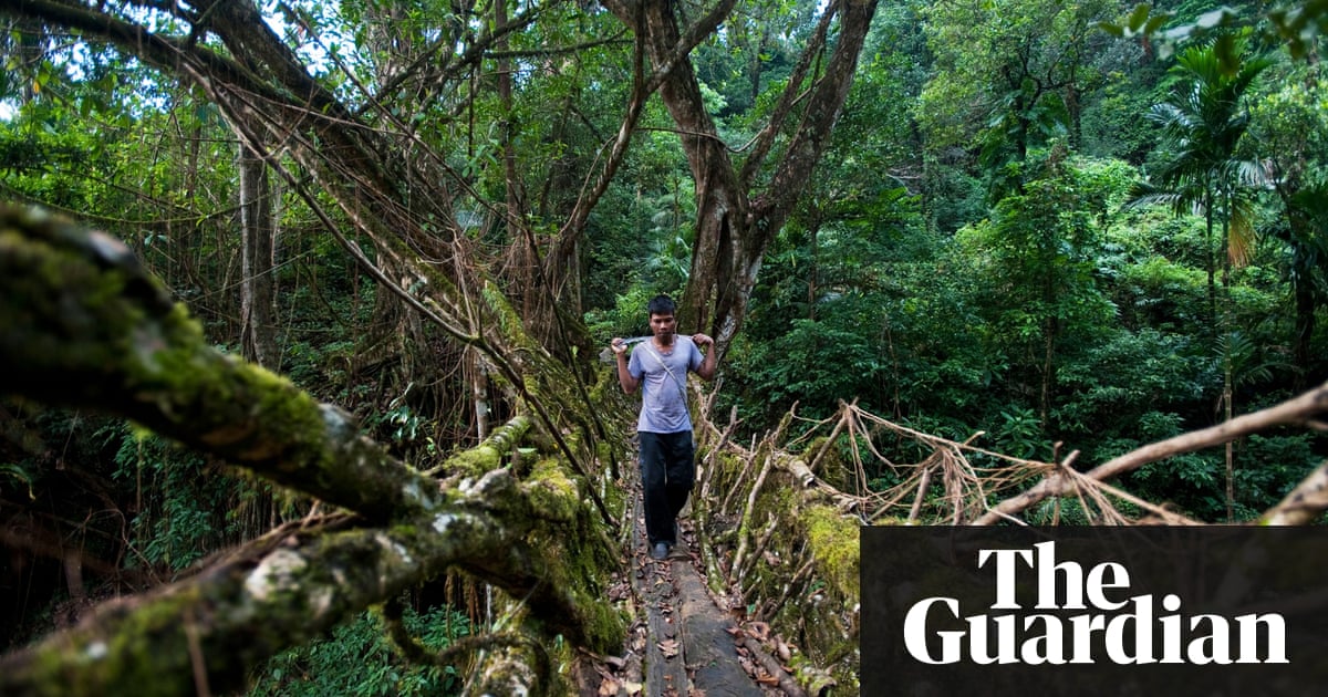 clear forest lands Deforestation: deforestation, clearing or thinning of forests by humans to make the land available for other uses. clear forest lands Deforestation: deforestation, clearing or thinning of forests by humans to make the land available for other uses.