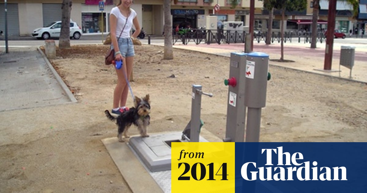 Potty Plan Spanish Town Sets Up Dog Toilet World News The