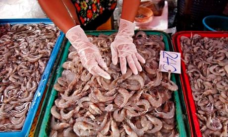 Thailand shrimp 