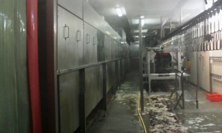 Scald tanks on the left with chicken debris on the floor