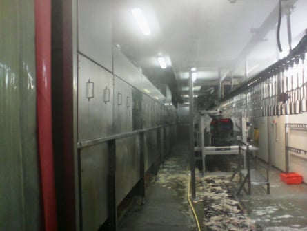 Scald tanks on the left with chicken debris on the floor. Photograph: Guardian