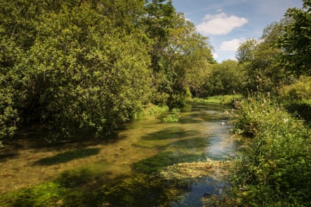 The threat to chalk streams, our unique contribution to global