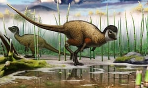 siberian dinosaur spreads feathers