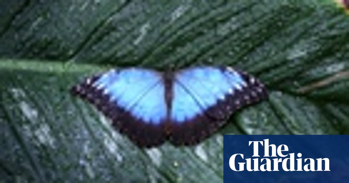 Seven Fabrics Inspired By Nature From The Lotus Leaf To Butterflies And Sharks Fashion The Guardian