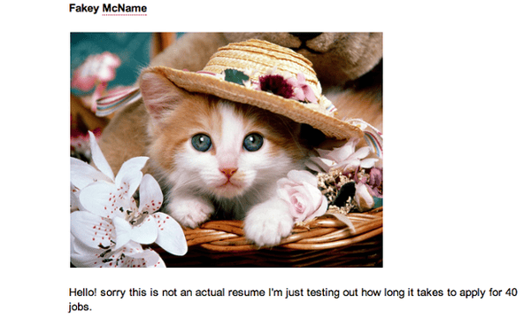 I Applied For 40 Jobs In Nine Minutes Australia News The Guardian