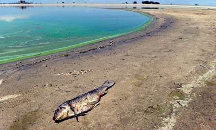 water Denver Barr Lake State Park dead fish