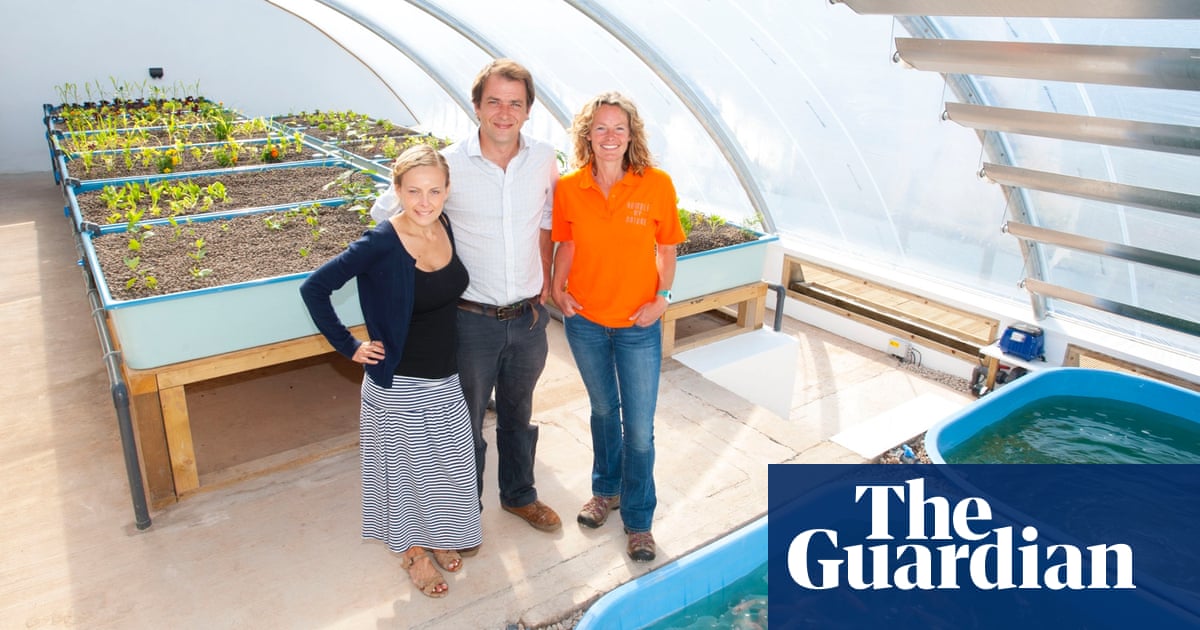 commercial aquaponic systems australia must see plans diy