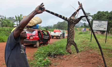 A Liberian man holding bush meat, one of the main causes of ebola's spread, for sale in Liberia.