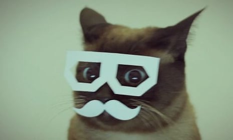 Five cute cat ideas to navigate Russia's tough new blogger law