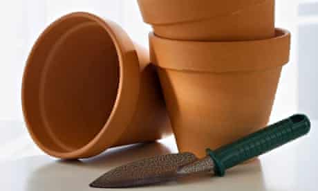 Alys Fowler How To Repot A Houseplant Life And Style The Guardian