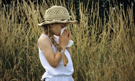Hayfever can affect children's quality of life.