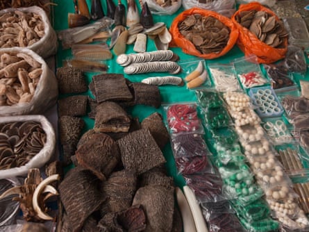 Items seen for sale include the various body parts from endangered species such as; elephant, tiger, bear, pangolin, porcupine, monkey, flying squirrel, masked palm civet cat, deer, mountain cat, fox, crocodile, different types of tropical birds and shark.