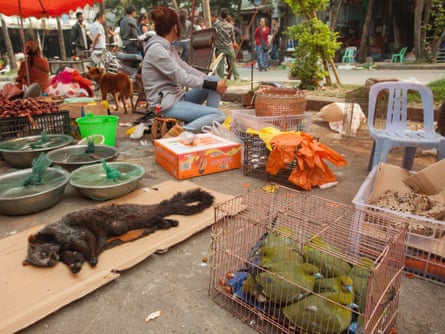 A giant flying squirrel and green pigeons are seen for sale as bush meat at a covered market in the town of MongLa, Shan State Special Region Four, Burma