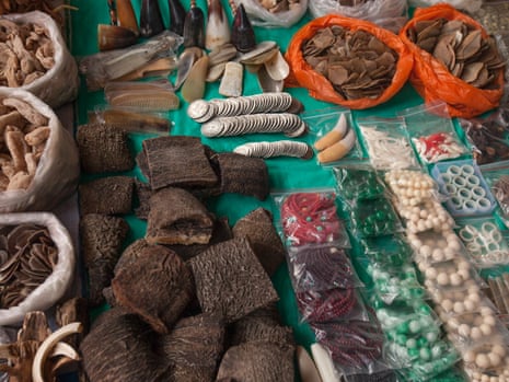 Illegal wildlife products are seen for sale at a covered market in the town of MongLa, Shan State Special Region Four, Burma, 04 April 2014.