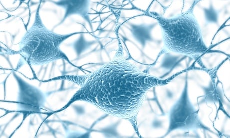Image concept of a network of neurons in the human brain.
