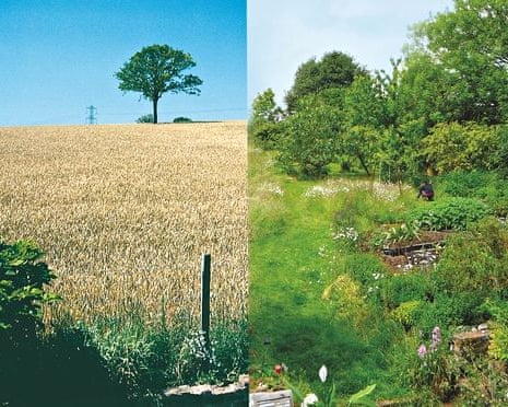 Live Better: Maddy Harland Permaculture Composite