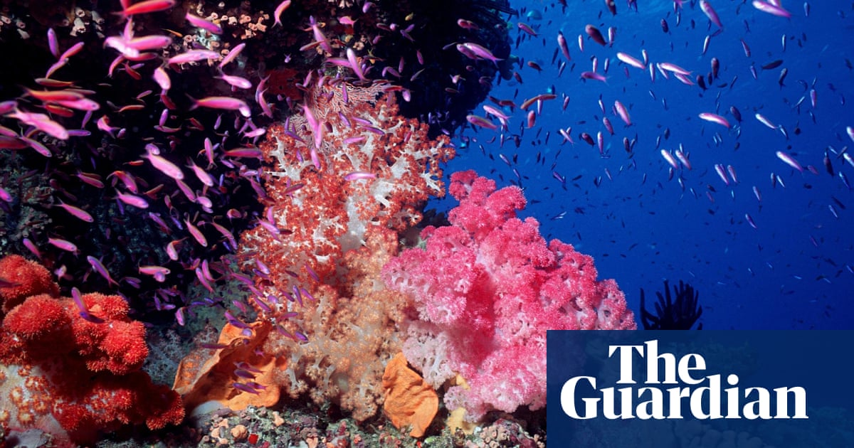The Great Barrier Reef And The Coal Mine That Could Kill It Great Barrier Reef The Guardian