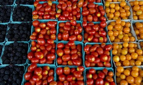 Tomatoes are displayed for sale