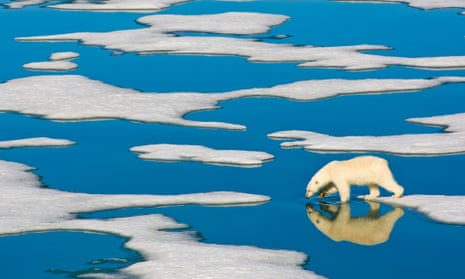 A polar bear (Ursis maritimus) on pack ice, Svalbard archipelago, Norway
