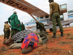 Depending on where an orphaned elephant is found, an aeroplane is usually needs to be chartered to move the elephant to the Nursery.j