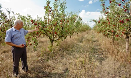 Calmac stands in his apple orchard in Harbovat, Moldova. Like Nitrean, he is also feeling the pinch of  Moscow's bans on Moldovan produce.