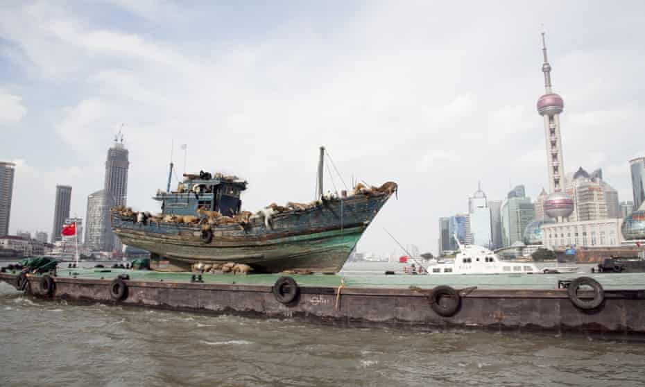 Art installation The Ninth Wave by artist Cai Guo-Qiang sailing on the Huangpu River in Shanghai