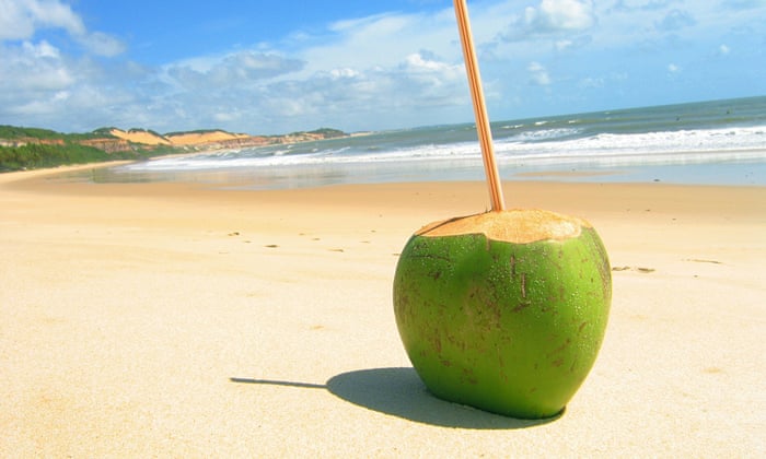 Coconut water: how its popularity has affected the supply chain | Guardian sustainable business | The Guardian