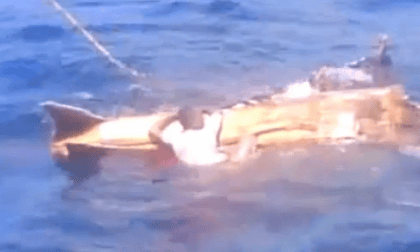 Fijian Fishermen Being Shot Video Posted On Youtube Fiji The Guardian