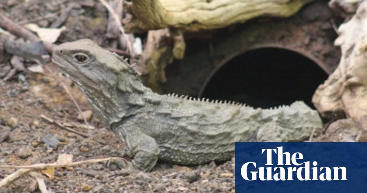 why zoos are good zoology the guardian