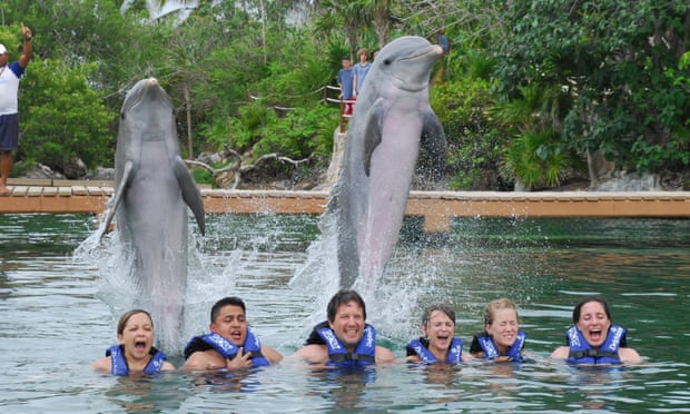 Tourists pose with dolphins at a Delphinus marine park in Mexico