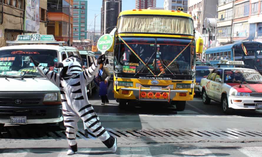Zebras of La Paz