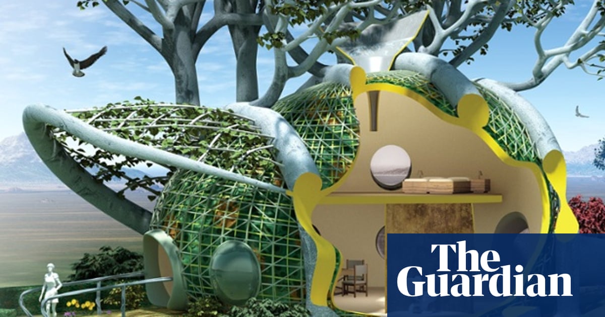 Are Tiny Houses And Micro Apartments The Future Of Urban Homes Guardian Sustainable Business The Guardian