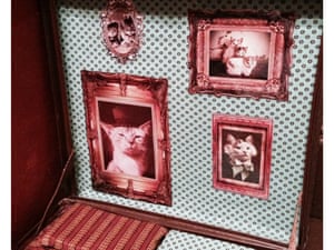 Melbourne s cat cafe like AA only for cat owners Life Melbourne s cat cafe like AA only for cat owners Life