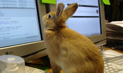 rabbit computer