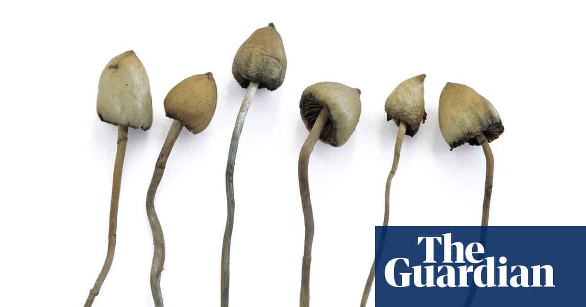 a brief history of psychedelic psychiatry neuroscience the guardian